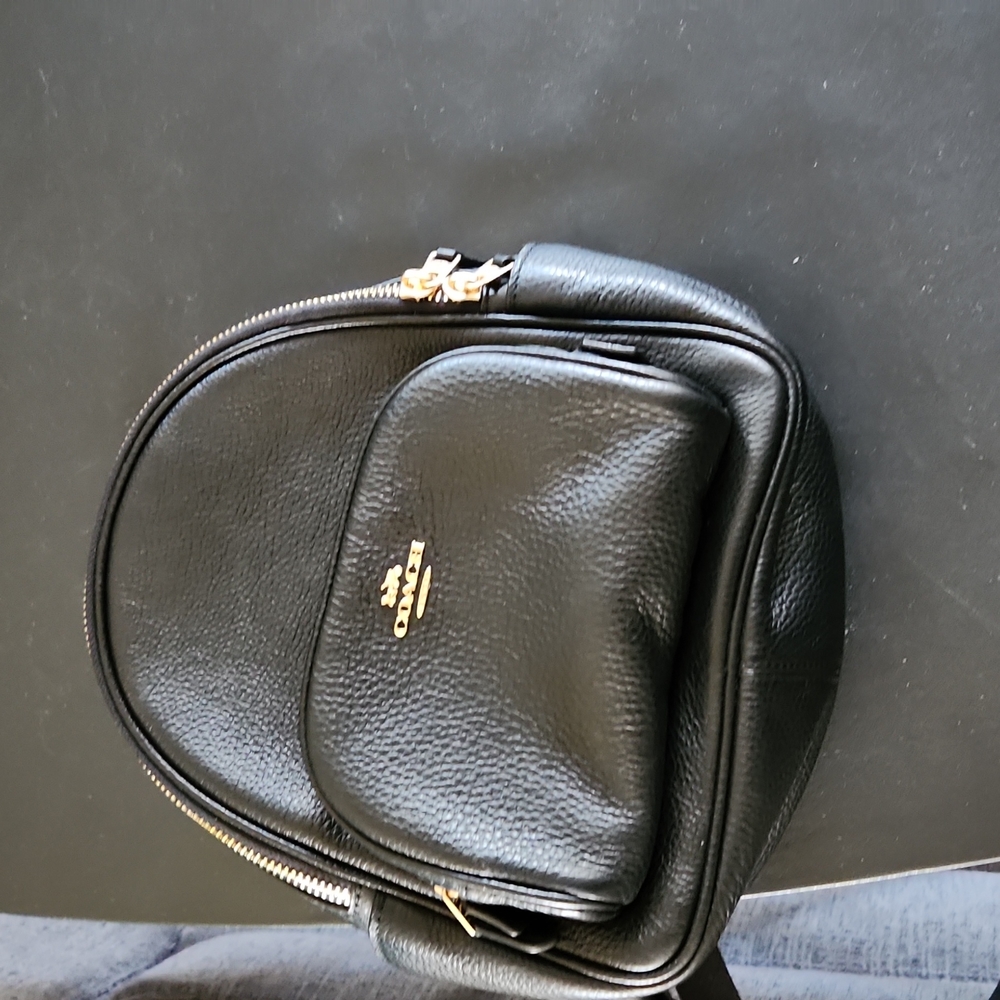 Coach mini backpack